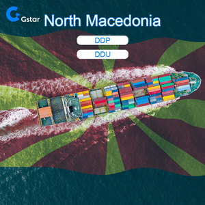 China Shipping Agent Special Transportation